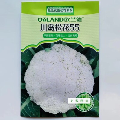川岛松花55花菜种子花球松大花梗淡绿 品质爽脆农家大田播