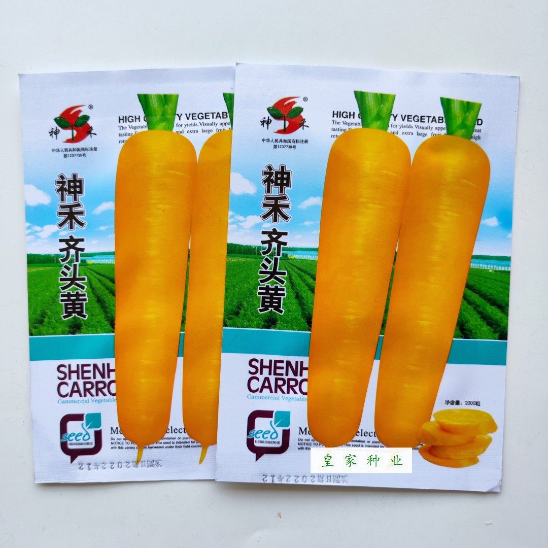 神禾齐头黄胡萝卜种子甜脆高产夏季秋季易播农家胡萝卜籽蔬菜种子