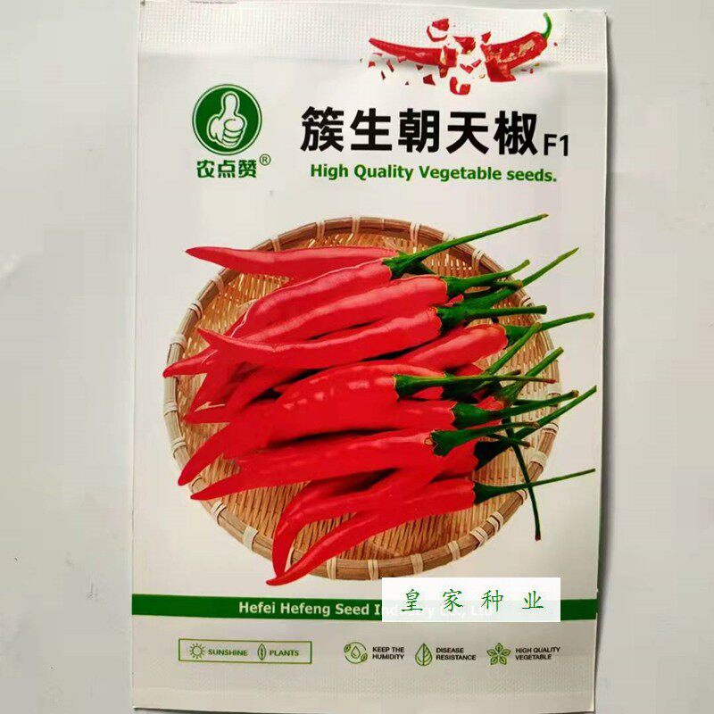 农点赞簇生朝簇生朝天椒种