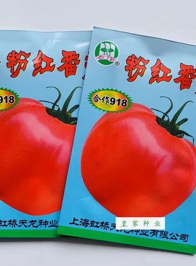 合作918粉红番茄种子中早熟西红柿种籽 抗病性强稳产高产春秋栽培
