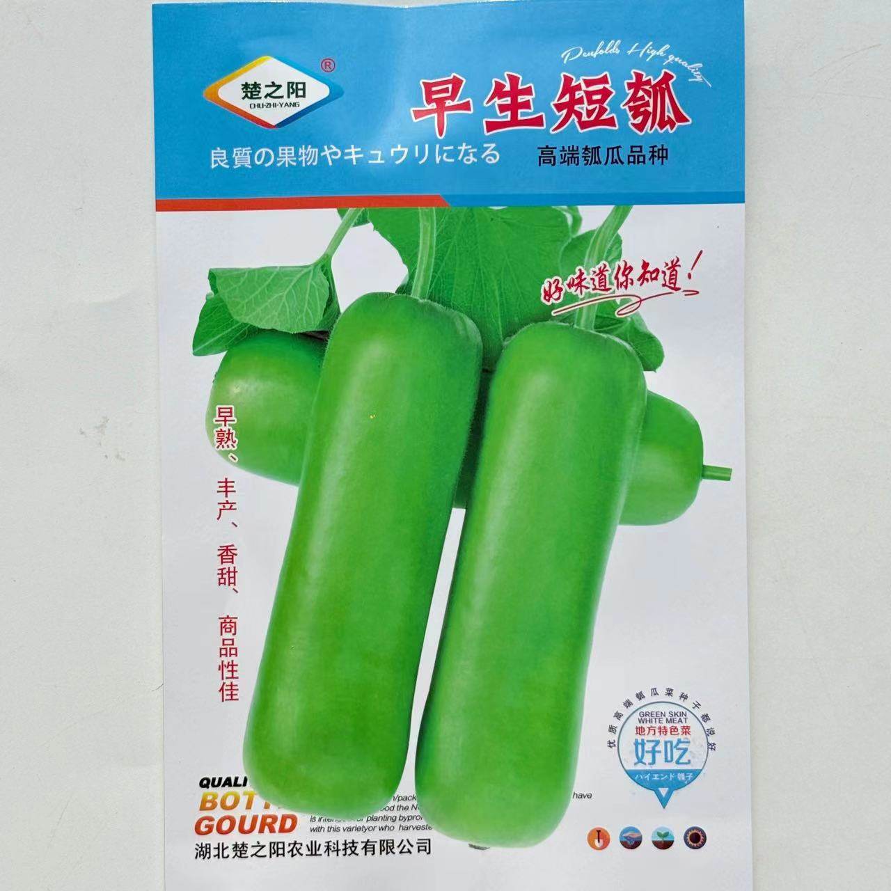 早生瓠瓜种子早熟高产短棒瓠瓜种子蒲瓜食用甜瓠子瓜菜葫芦种子