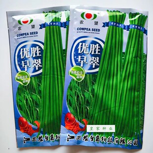 农望优胜早翠长豇豆种子早熟荚条翠绿顺直春秋播种长角豆种籽高产