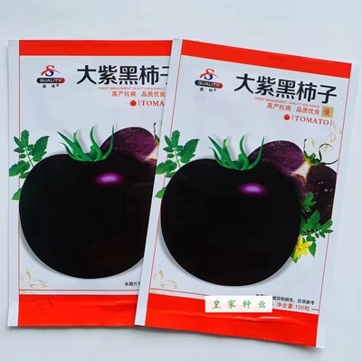 鑫特大紫黑柿大紫黑柿子种