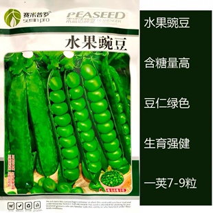 台湾长寿仁豌豆甜脆青种籽散装豌豆耐寒四季甜豌豆种子蔬菜种子