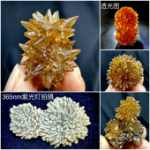 贵州花型针状荧光磷光琥珀方解石天然矿物晶体矿石标本摆件教学