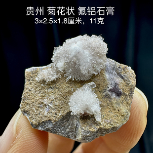 贵州菊花状氟铝石膏天然矿物晶体矿石标本摆件教学观赏收藏奇石