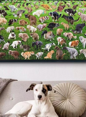 101 pooping puppies 101只狗狗便便拼图1000片小狗拉屎拼图创意