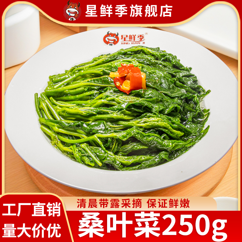 嫩桑叶芽250g新鲜食用
