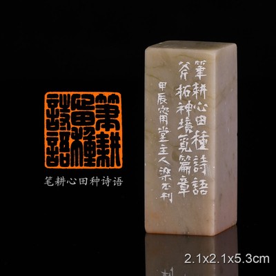 笔耕心田种诗语 古诗梁丕手工篆刻成品章书法书画印章闲章青田石