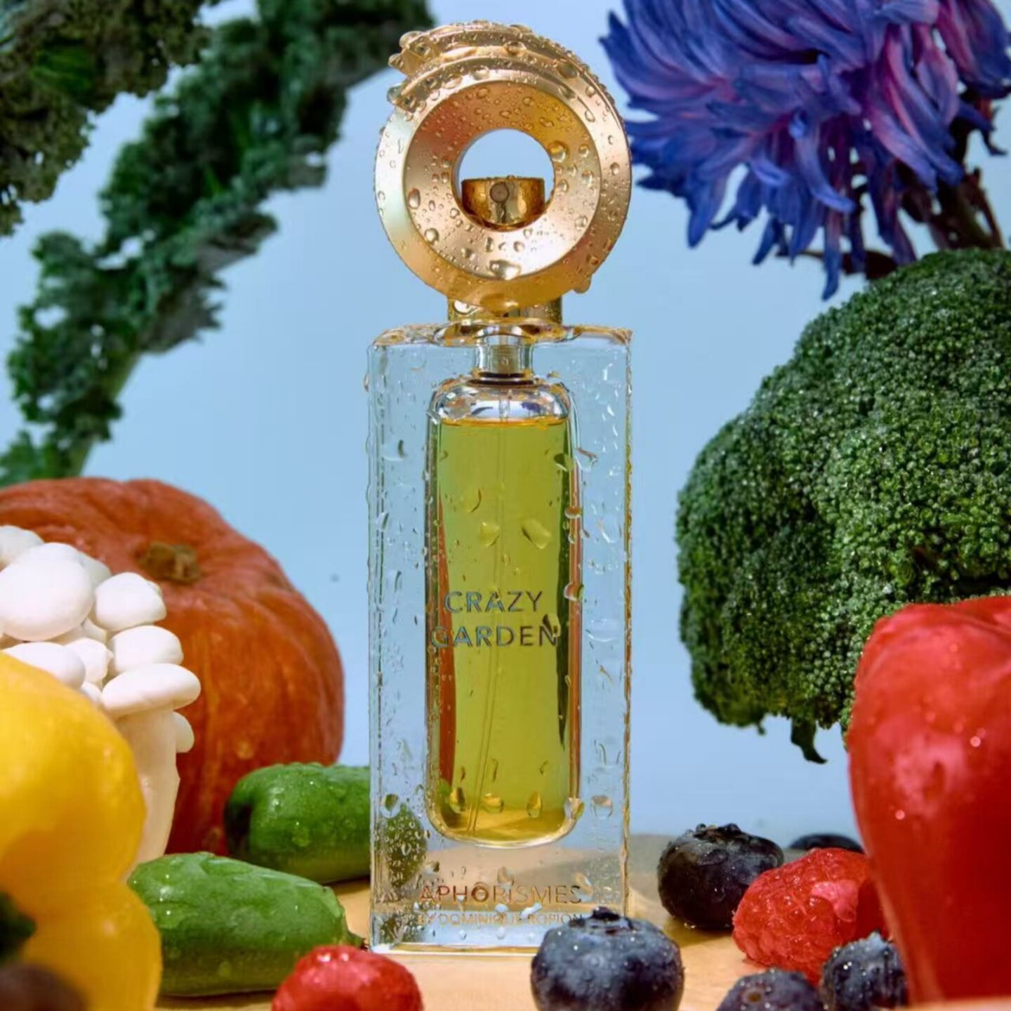 APHORISMES香水my clementine我的柑橘玫瑰疯狂的花园乌木试香