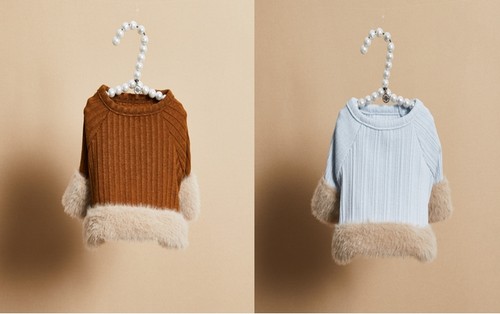 燕子萌宠屋韩国代购louisdog猫狗小型犬时尚气质胸背上衣可爱衣服