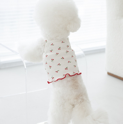 燕子萌宠屋韩国代购cocochien宠物小型猫狗可爱樱桃印花吊带衫