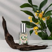 线下同款 芳慕香水女士栀子花开纯白牛奶邂逅葡萄柚海神黑加仑正品