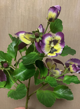 高仿真三色堇花蝴蝶兰3d拍摄高档