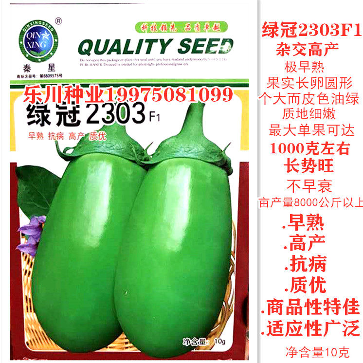 西安绿冠2303茄籽杂交高产