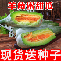 羊角蜜甜瓜新鲜当季应季批发水果整箱5斤10 哈密瓜脆甜羊角脆香瓜