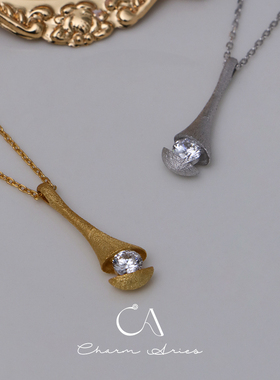 S925纯银锁骨链女生轻奢高级项链