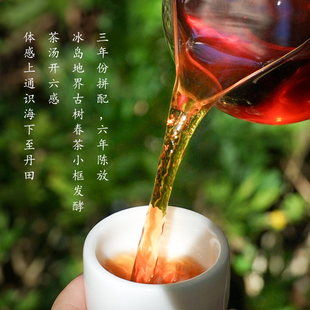 菩提境】云南冰岛地界熟茶2019年古树普洱春茶熟茶饼茶叶 200g/饼