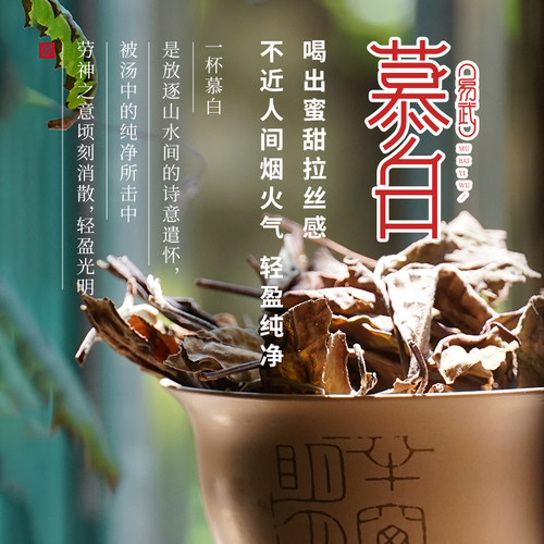 慕白易武2020古树白茶散茶