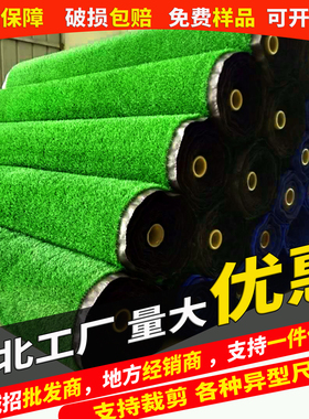 仿真草坪地毯人工假草铺垫绿色塑料阳台户外幼儿园装饰人造草皮