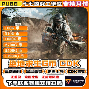 G币绝地求生G PUBG coin币CDK吃鸡G金币steam端游兑换 可花呗
