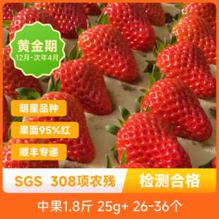 辰颐物语严选丹东99红颜草莓东港正宗大九九奶油当季新鲜顺丰包邮