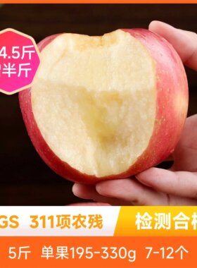 辰颐物语山东栖霞红富士2025新鲜孕妇水果当季红苹果脆甜产地直邮