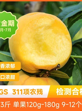 辰颐物语湖北枣阳黄金蜜桃黄桃新鲜时令孕妇水果黄金油桃产地直邮