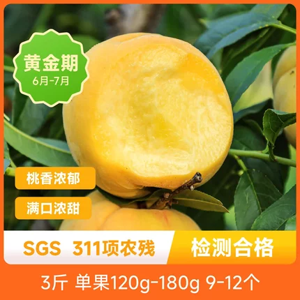 辰颐物语湖北枣阳黄金蜜桃黄桃新鲜时令孕妇水果黄金油桃产地直邮
