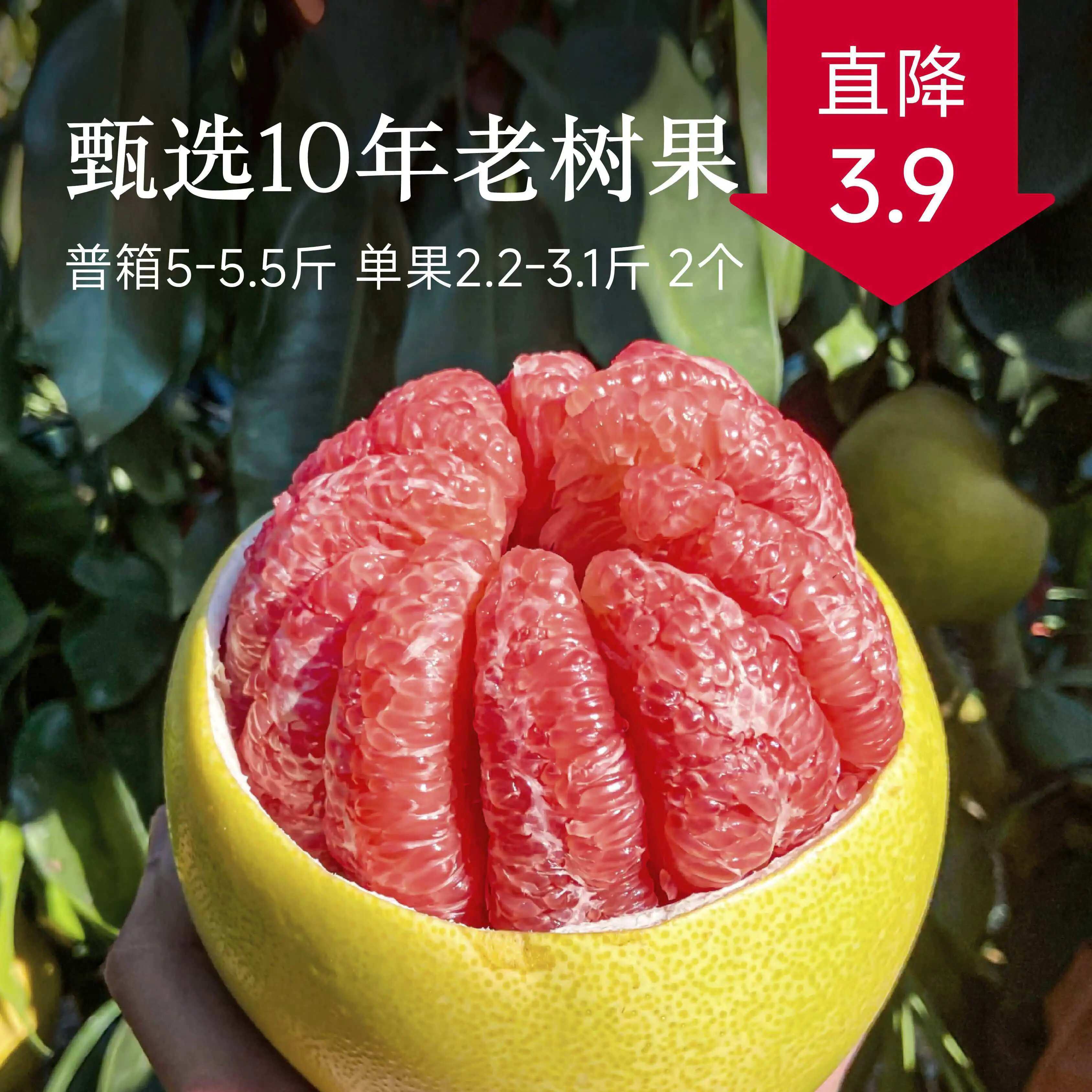 辰颐物语平和琯溪三红蜜柚福建白柚子黄柚新鲜现摘孕妇叶酸水果