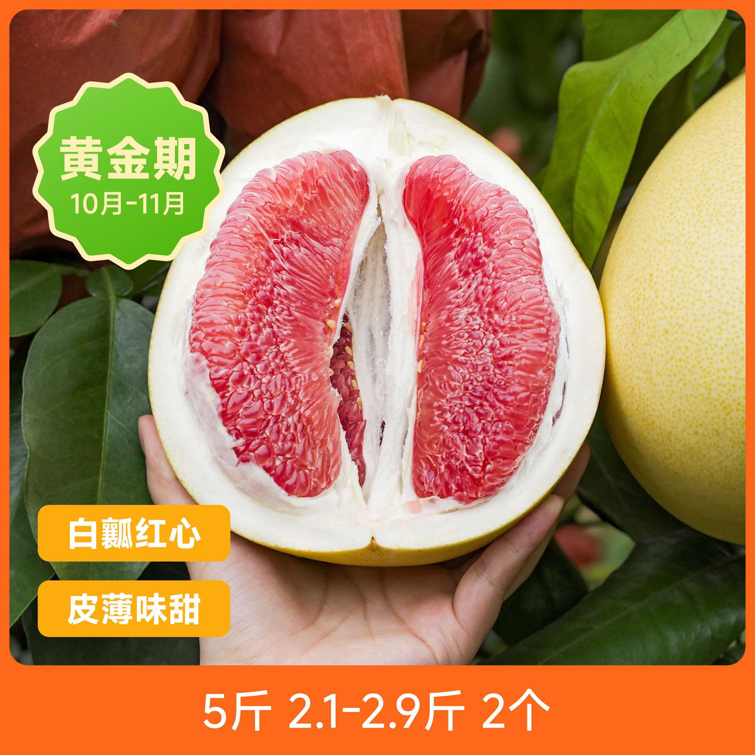 辰颐物语平和琯溪红心蜜柚福建柚子包邮新鲜现摘当季孕妇叶酸水果