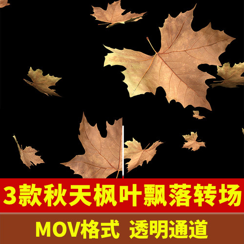 秋天树叶枫叶掉飘落动画特效带透明通道AE/PR/剪映/FCPX视频素材