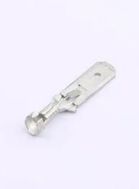 42565-2 42565-2 - 插片插簧端子