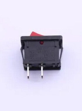SS11-RBDWQ-R20-R 跷板开关SPST 15x21mm 插件,21x15mm 船型开关