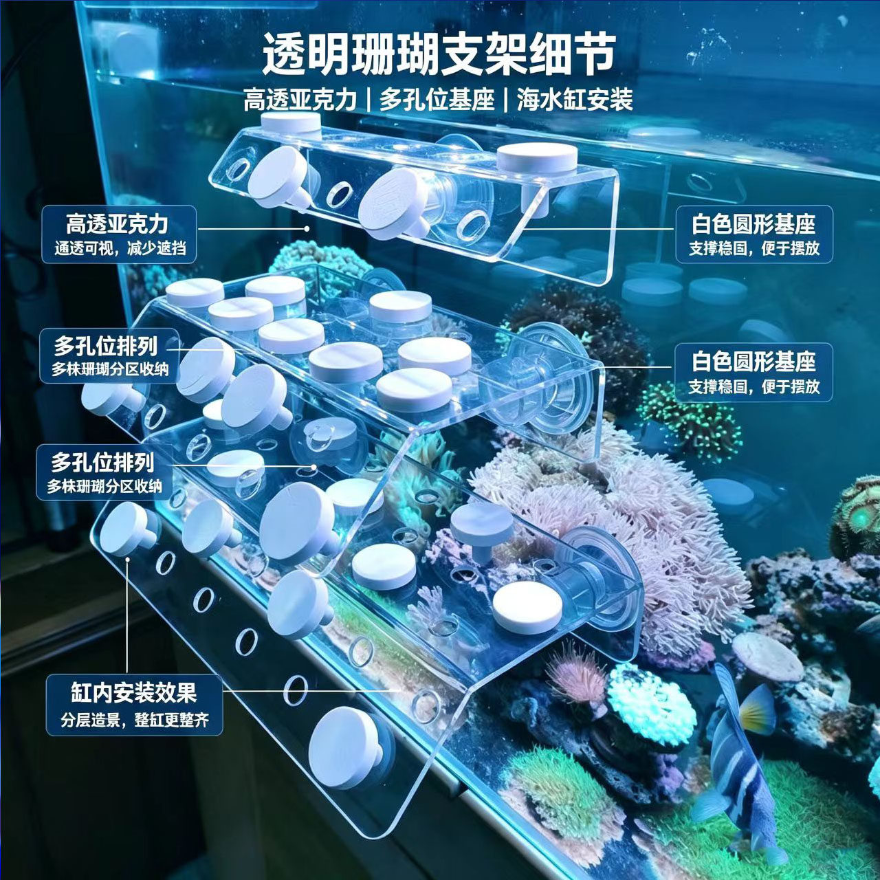 透明亚克力珊瑚造景繁殖基座