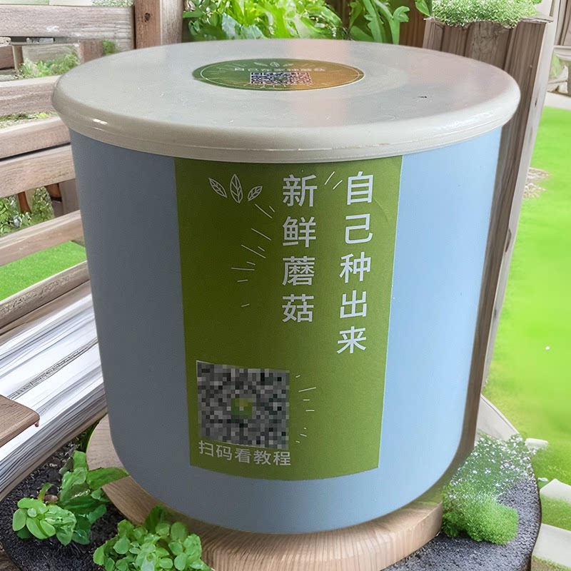 蘑菇培养包种植桶菌菇盒家庭幼儿园室内自己种菌包节日礼品盆景