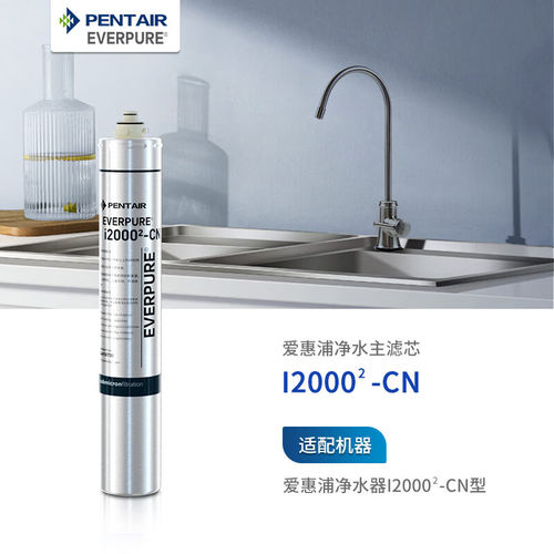 爱惠浦（Everpure）I2000²-CN 净水器 厨房餐饮用水过滤器滤芯