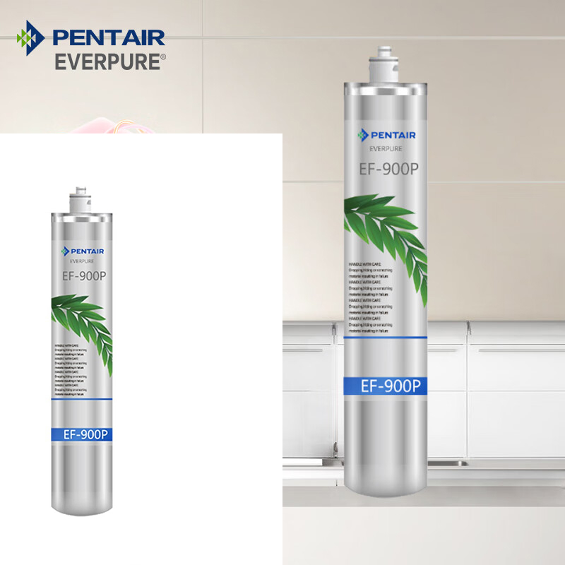 滨特尔爱惠浦（Everpure） EF-900P 净水机滤芯
