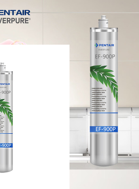 滨特尔爱惠浦（Everpure） EF-900P 净水机滤芯
