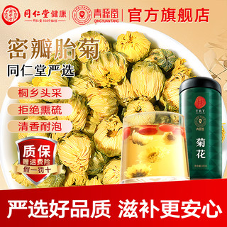 北京同仁堂青源堂菊花茶叶胎菊花草茶搭枸杞金银花茶100g养生滋补