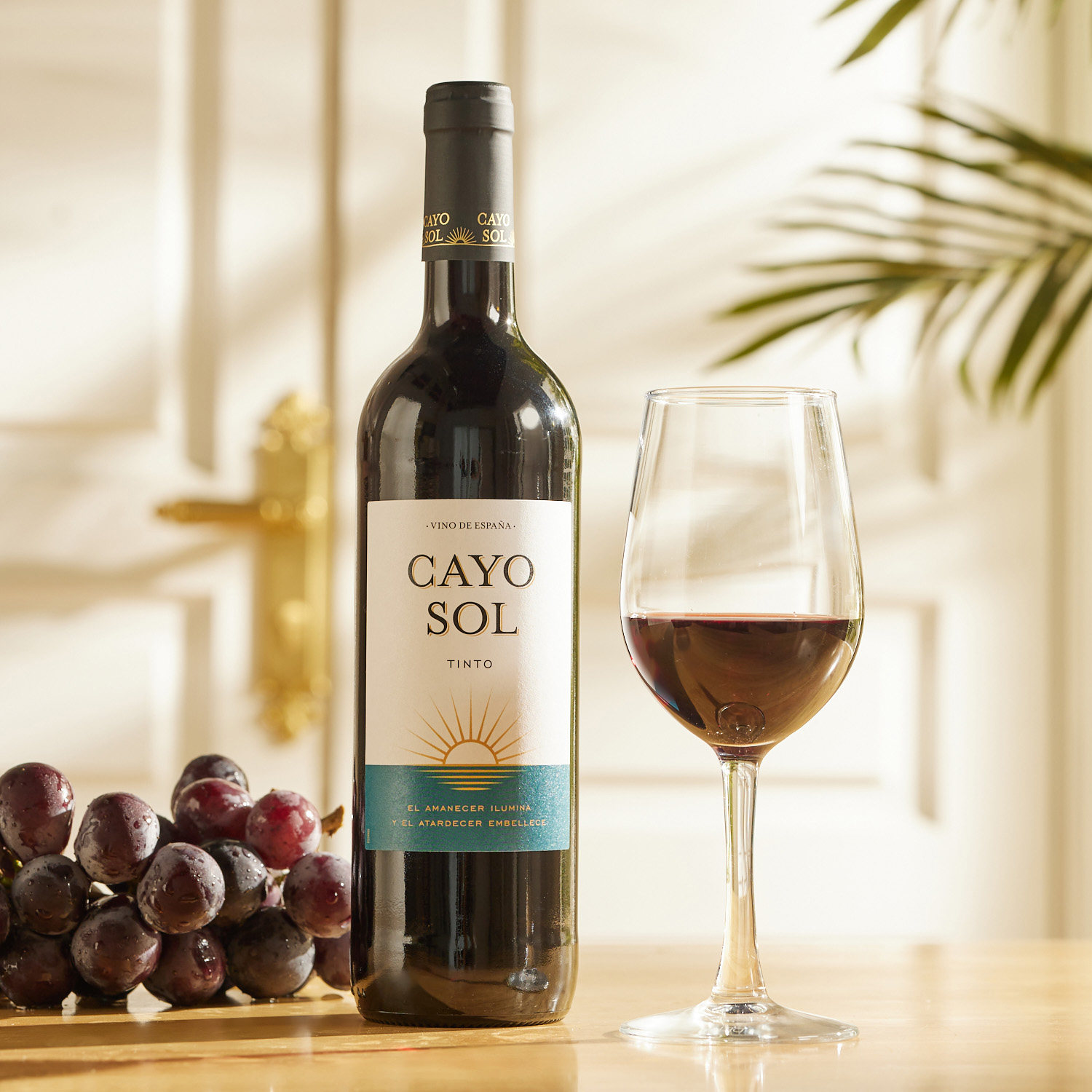 现货沃尔玛西班牙进口CAYO SOL皓屿干红葡萄酒750ml干型聚会配餐