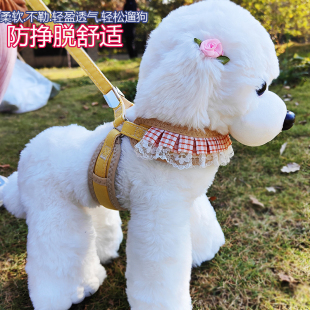 狗狗牵引绳狗绳小型犬胸背带泰迪比熊牵引绳柯基牵引绳狗链子用品