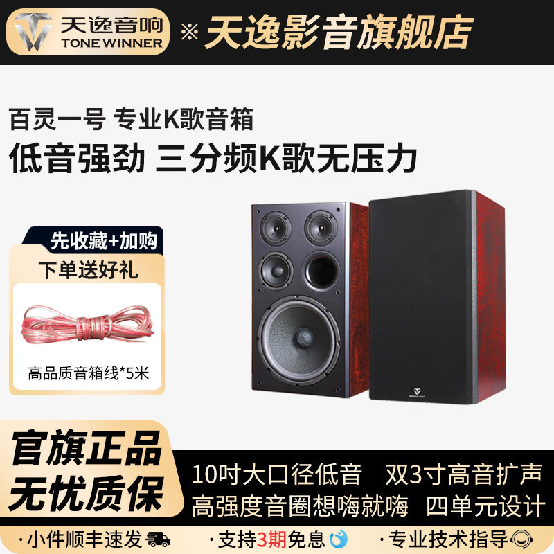 Winner/天逸 BL-1百灵一号卡拉OK音箱专业KTV家庭K歌卡包音箱