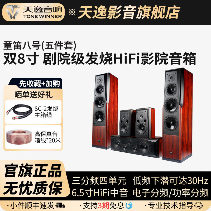 Winner/天逸 童笛八号 TD-8家庭影院音响套装高保真落地式音箱