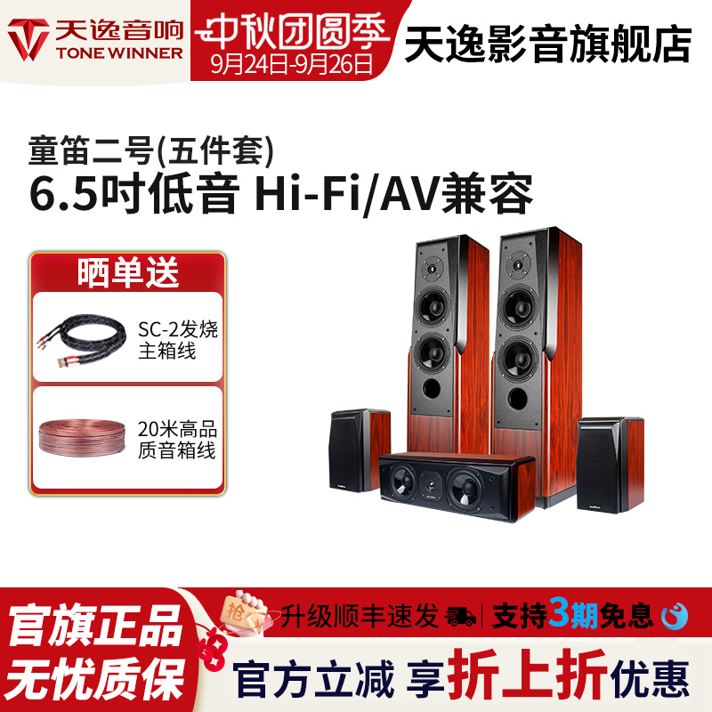 Winner/天逸 童笛二号TD-2家庭影院HIFI落地音箱专业木质无源音响