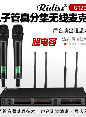 Ridiss一拖二无线真分集U段演出麦克风婚庆户外远距离防啸叫话筒