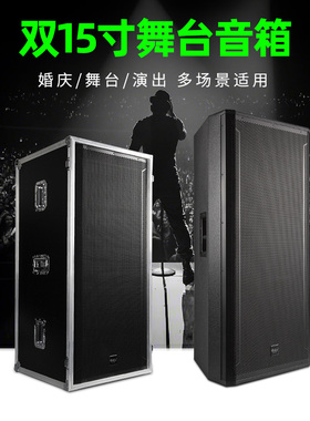 Ridiss D925 户外K歌音箱  15寸  黑色   1219*541*505MM