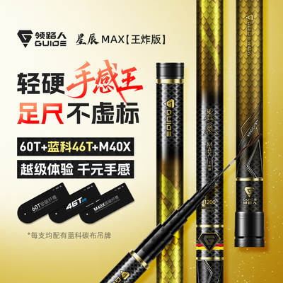 领路人星辰王炸炮竿传统钓长杆超轻超硬12/13米鱼竿手杆打窝炮杆