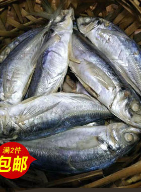 巴浪鱼鲁记潮汕鱼饭满真空即食