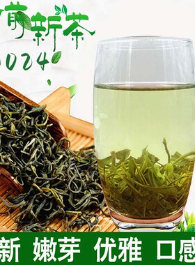 2024新茶浙江丽水绿茶袋散装高山云雾茶春茶明前特级炒青茶叶500g